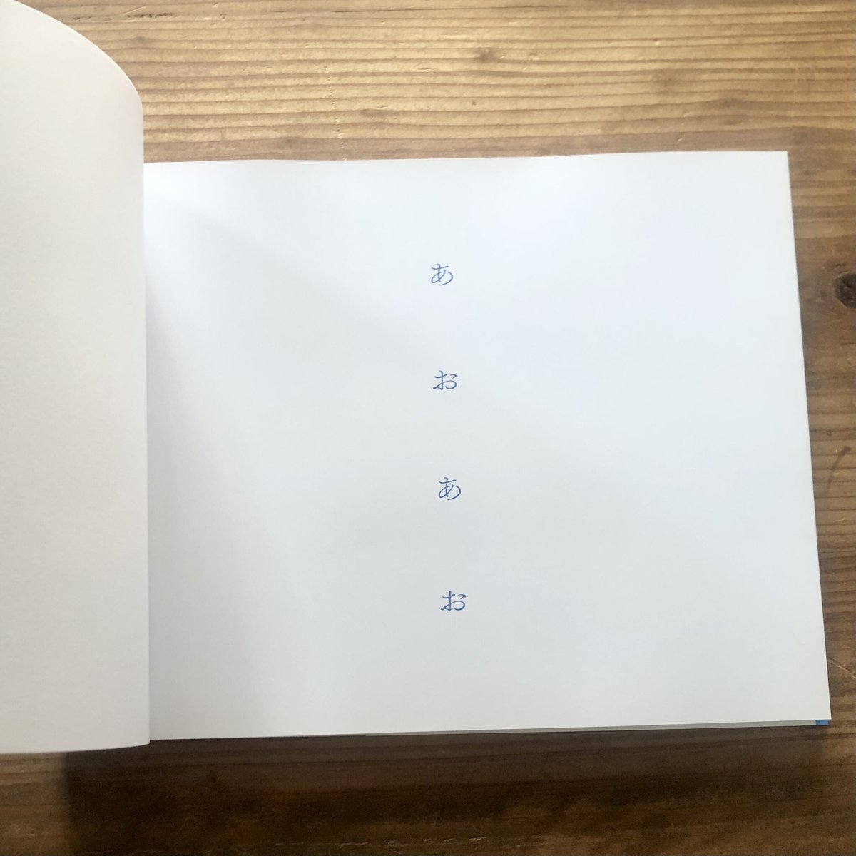 沖縄の本】 藤代冥砂 沖縄風景写真集「あおあお」 | 沖縄の