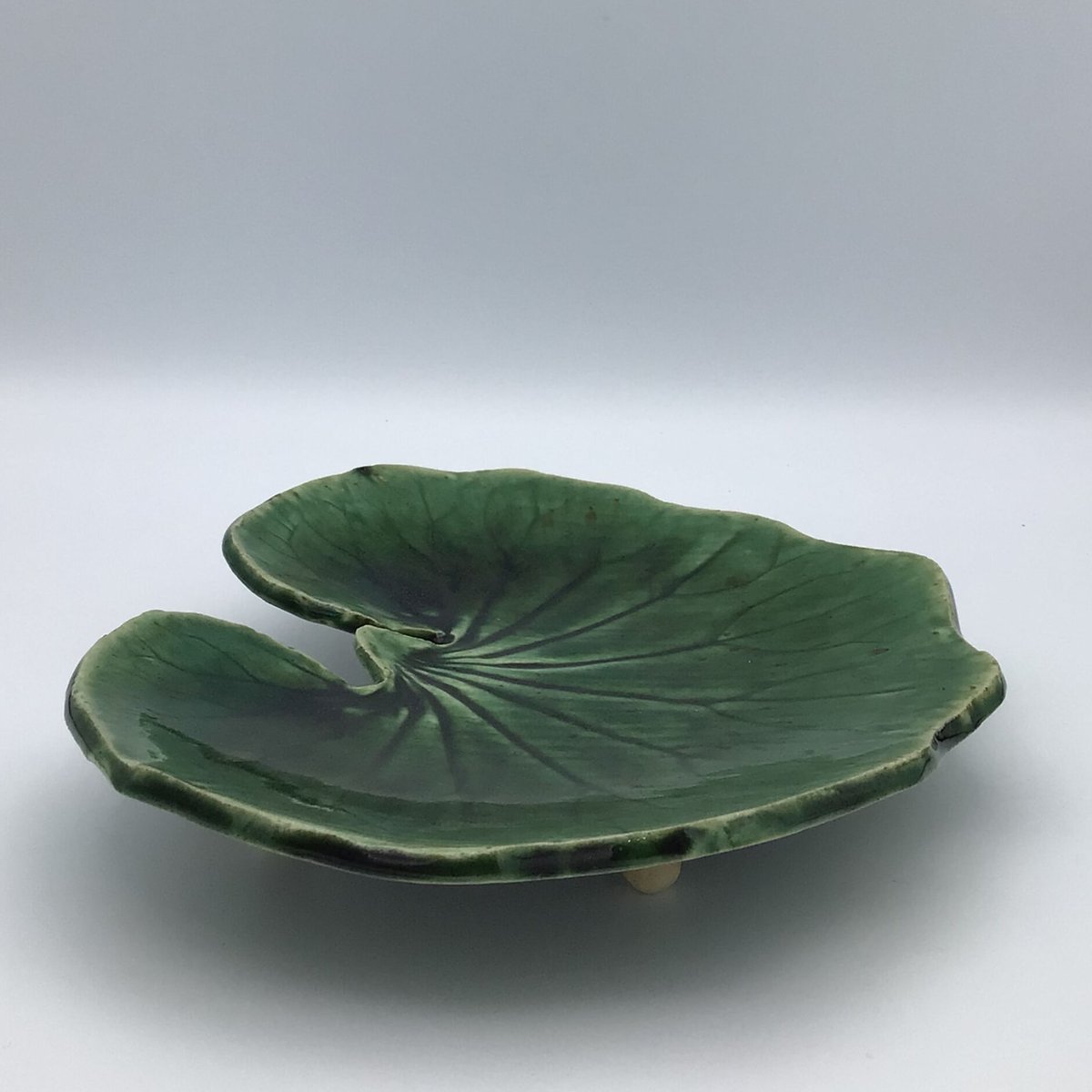 ツワブキ葉模様陶器皿5枚セット ツワブキ葉模様陶器皿5枚セット - メルカリ