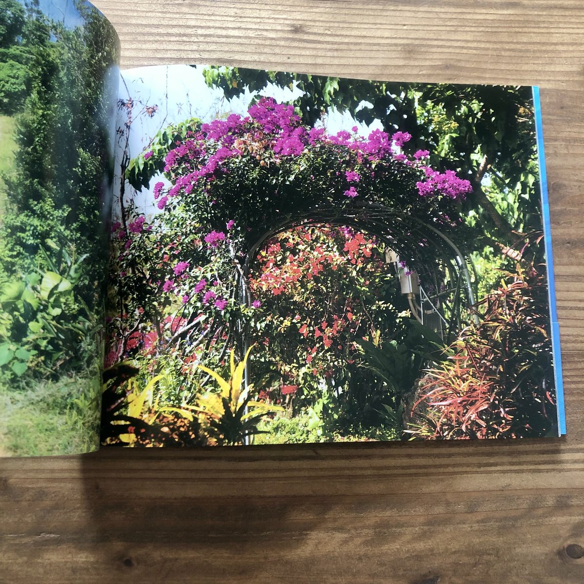 沖縄の本】 藤代冥砂 沖縄風景写真集「あおあお」 | 沖縄の