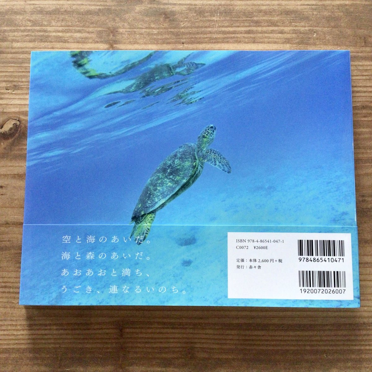 沖縄の本】 藤代冥砂 沖縄風景写真集「あおあお」 | 沖縄のうつわ