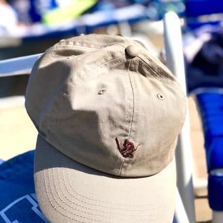 Bat SARU cap