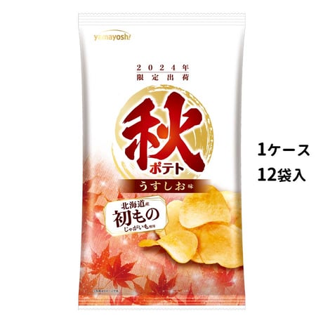 ポテトチップス様 専用‼︎』10月末購入TYPE-C100『名も無きミット