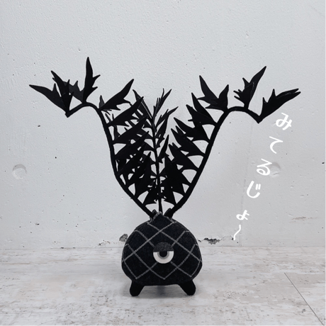 002 エンセファラルトス　ホリダス　ダブルヘッド　フラッシュ中 002 エンセファラルトス ホリダス ダブルヘッド フラッシュ中 002 エン