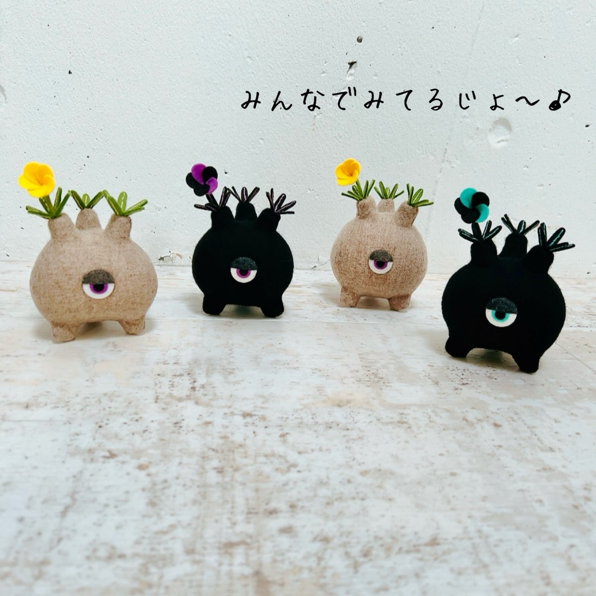特選コレクション株 可愛い２頭のグラキリス みてるじょグラキリスくん ころころnatural | KIRITO HANDMADE FACTORY