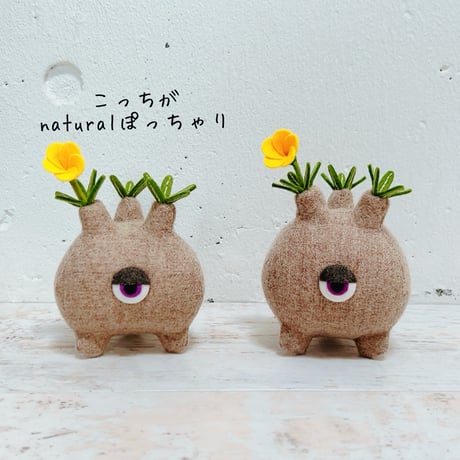 みてるじょグラキリスくん ぽっちゃりnatural