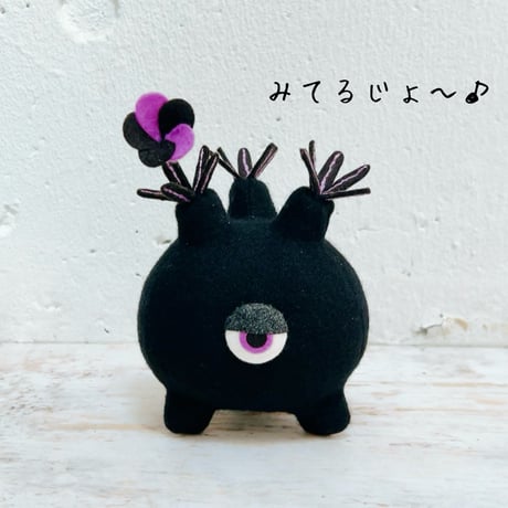 パキポディウムグラキリス | STORES