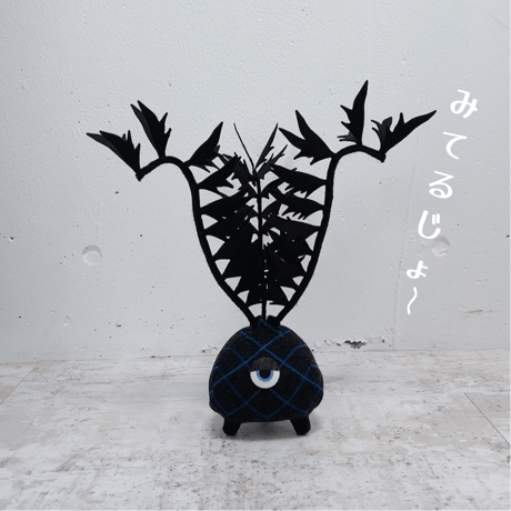 ホリダス | STORES