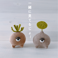 みてるじょデシドゥアくん・エレクタくん