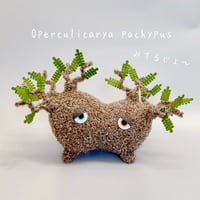 みてるじょダブルヘッドパキプスくん