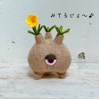 みてるじょグラキリスくん ぽっちゃりnatural