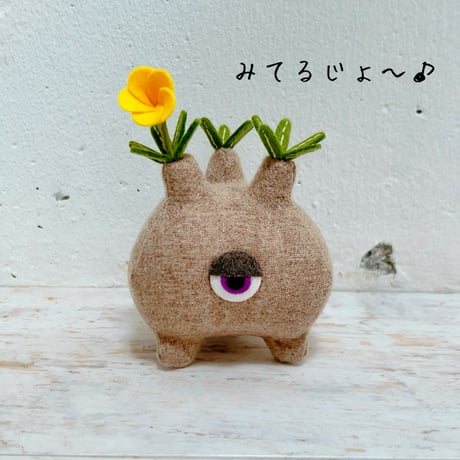 パキポディウムグラキリス | STORES