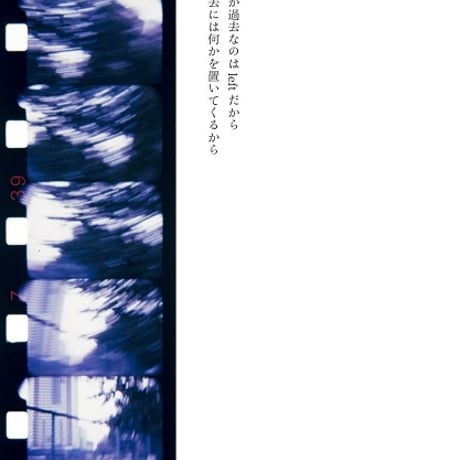 まぶたの裏庭