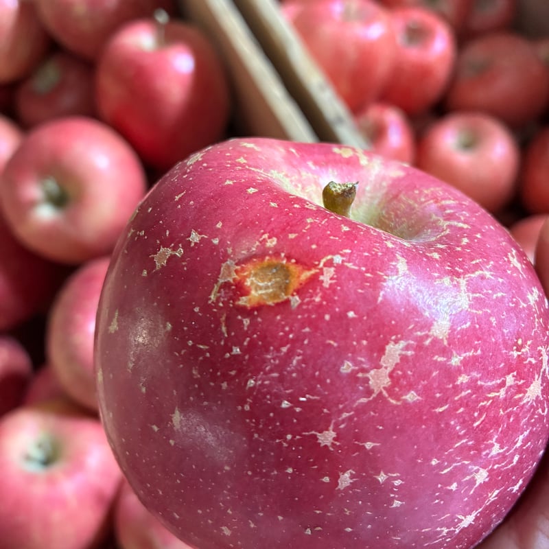 いだしい】の【いだしい】サンふじ 3kg/5kg/10kg【送料込】 | Felsen Ba