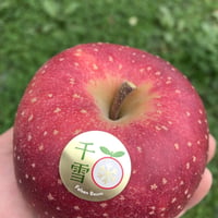 【いだしい】いまのおまかせ①  3kg/5kg［送料込］