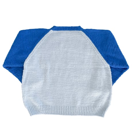 Hand Knit Raglan Sweater (BLUE)