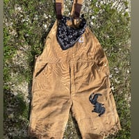 ®︎overall