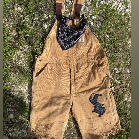 ®︎overall
