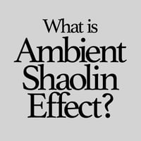Ambient Shaolin Effect（浮遊少林響効） Profile