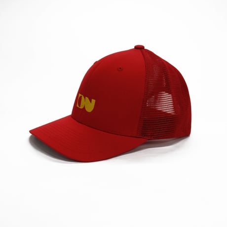 DIGUP CAT LOGO CAP / Led