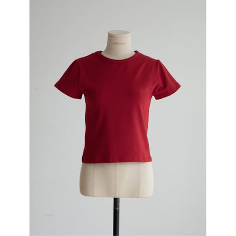 《予約販売》stretch minimal tee/2colors_nt2548