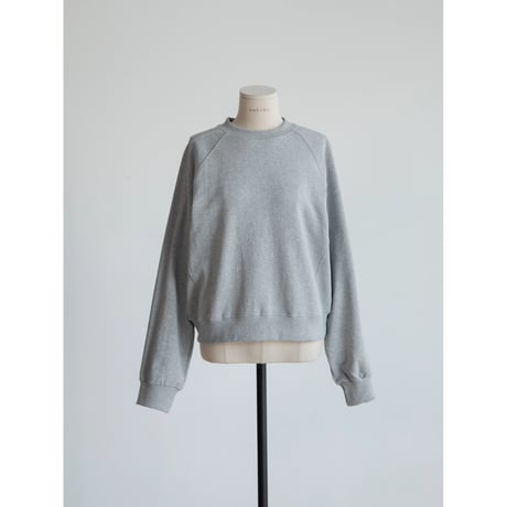 《予約販売》accent raglan mtm/2colors_nt2402