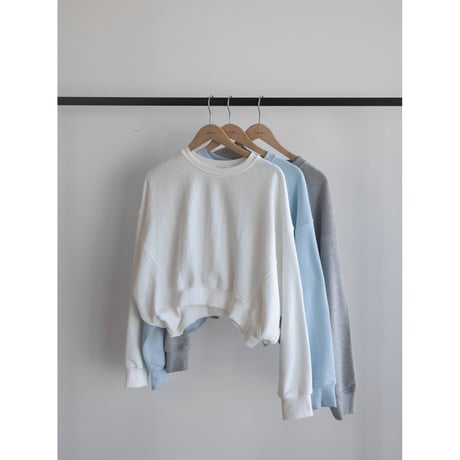 《予約販売》raglan sleeve minimal mtm/3colors_nt2013