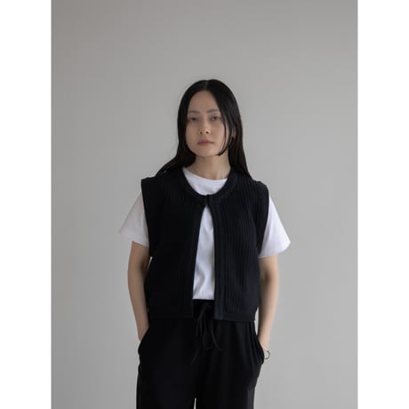 《予約販売》jacquard knit vest/2colors_nt2038