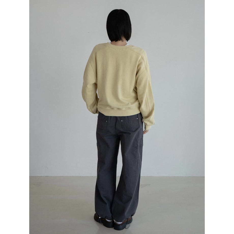 67b2a809bd9ebe048708f701