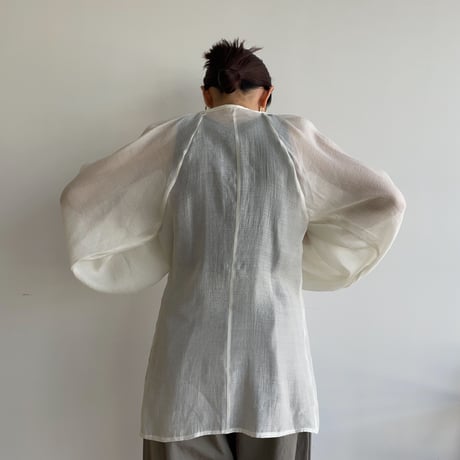 《予約販売》lady sheer blouse/2colors_nb0133