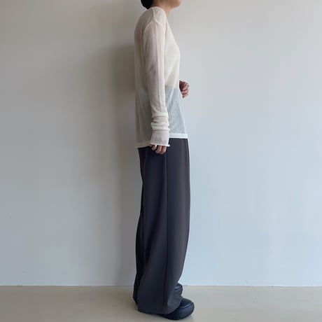 《予約販売》sheer lady tops/2colors_nt1972