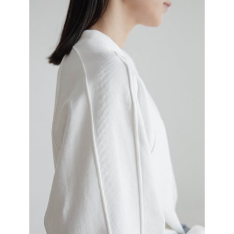 《予約販売》accent raglan mtm/2colors_nt2402