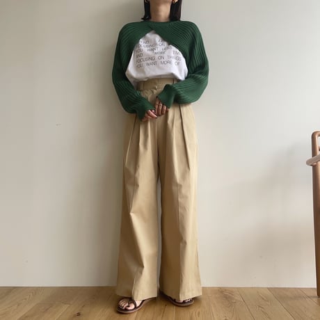 《予約販売》summer chino pants/2colors_np0571
