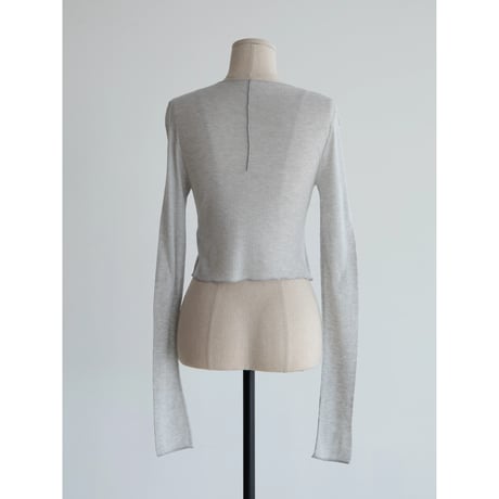 《予約販売》sheer cropped tops/4colors_nt2266