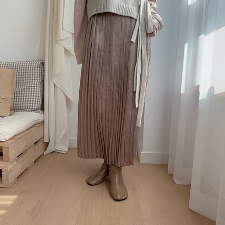✳︎予約販売✳︎shiny pleats skirt/2colors _ns0016