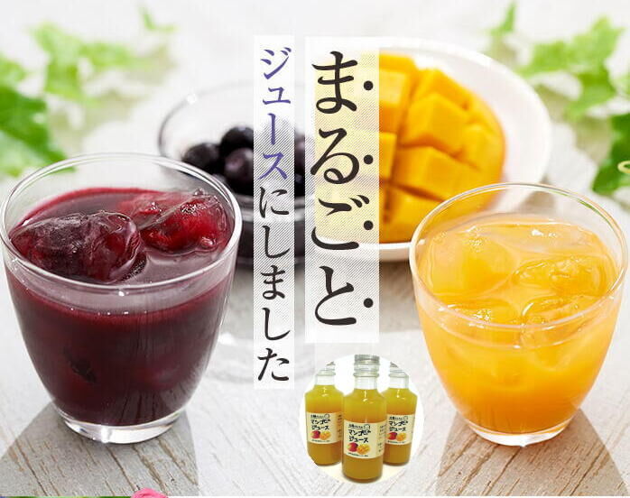 マンゴージュース 180g M-11 | 近藤農園