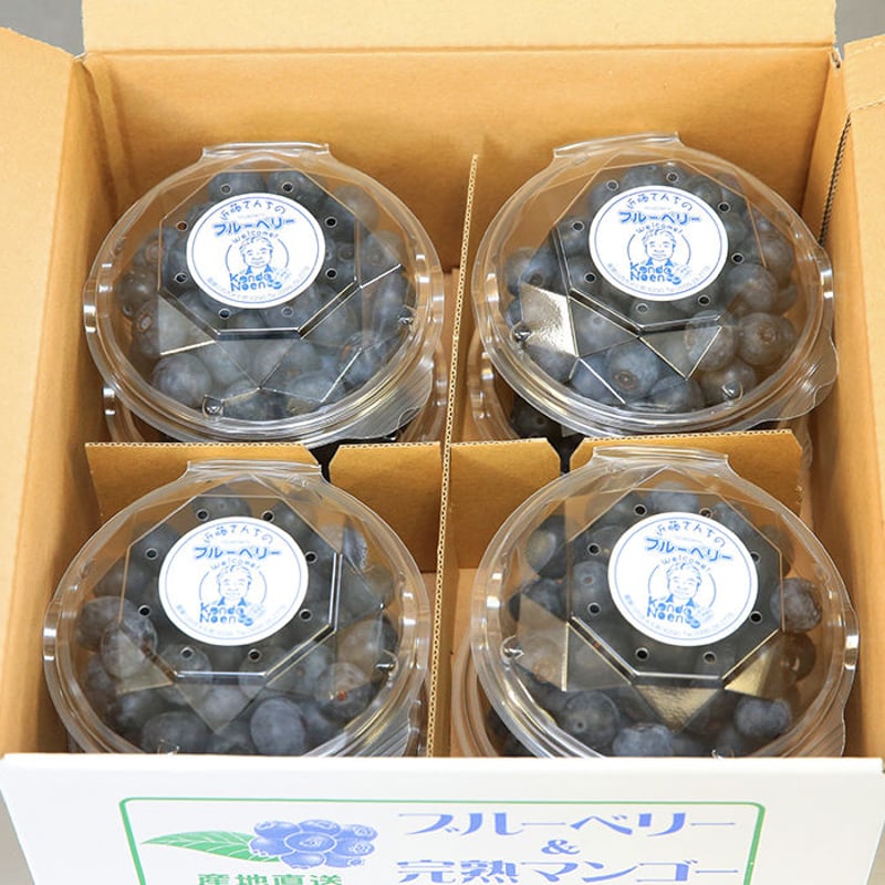 特選ブルーベリー（100gパック8個入り）【冷凍】B-20 | 近藤農園