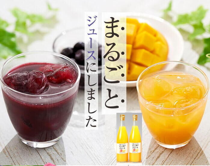 マンゴージュース 720g M-12 | 近藤農園