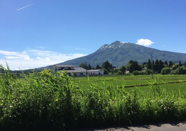農家直送！青森県産りんごの通販は、R&M Farmer's By WingApple