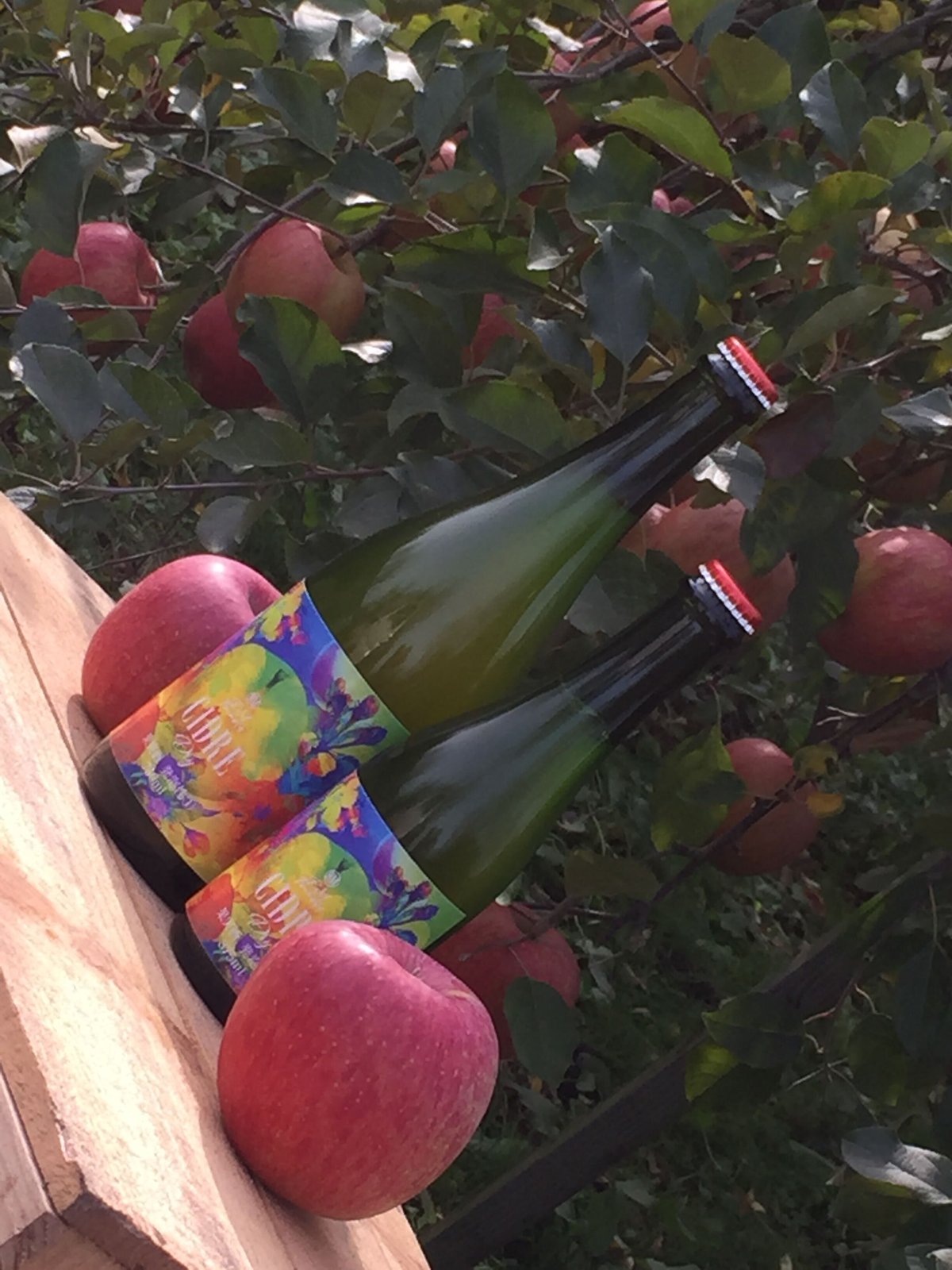 完熟りんごシードルDRY Alc 8% 750ml | 農家直送！青森県産りんごの