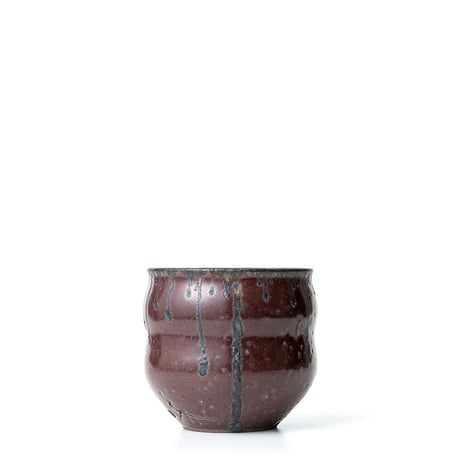 作家さんの鉢 植木鉢｜中型｜白色｜多肉植物｜にんじんさん四角_L＠鉢の専門店