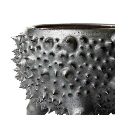 圭介窯　[トゲモノ] 　KSG-707