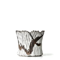 S.N.Pot type-slim [ 月光爪牙 -堕天- ] 4号　SNP-458