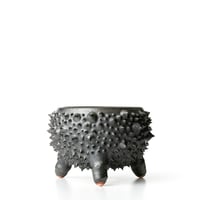 圭介窯 KSG-214 | ELOA