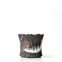 S.N.Pot type-slim [ 爪牙 -堕天- ] 3.5号　SNP-454