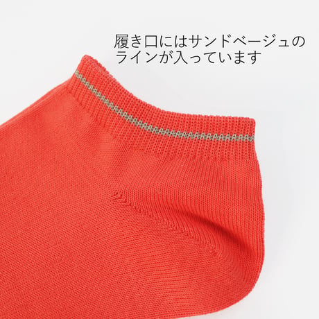 HOFI-01-003 インド超長綿強撚靴下：サーモン
