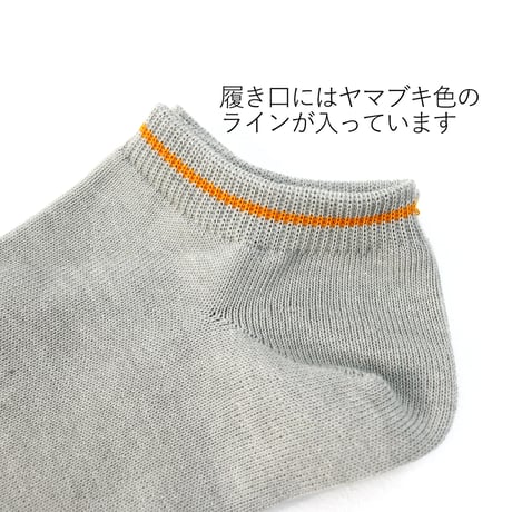 HOFI-01-003 インド超長綿強撚靴下：グレー