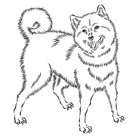 HOFI-028 ペンアートＴシャツ：32. 柴犬
