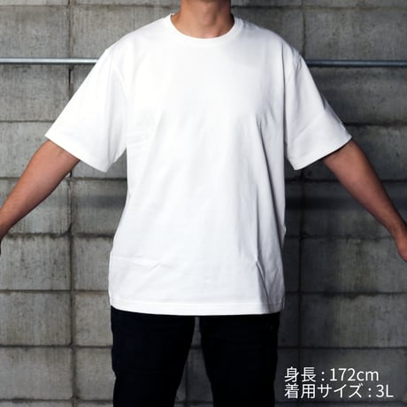 HOFI-027 [SHIRO-T] reboot vintage code.01
