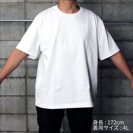 HOFI-027 [SHIRO-T] reboot vintage code.01