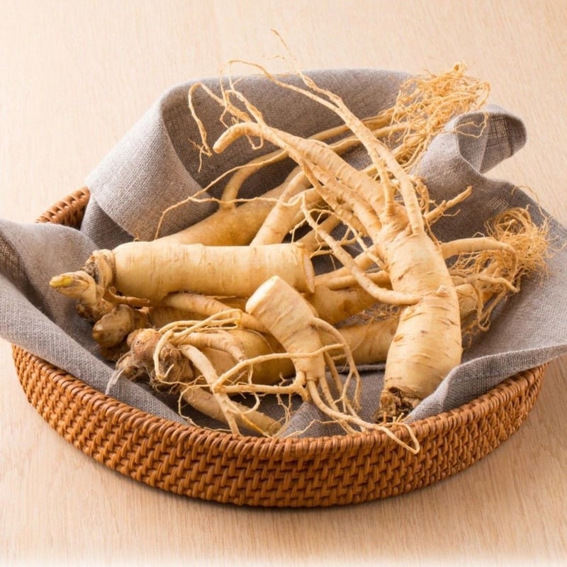 2］強力高麗人参末5包 （高麗人参1500mg、純マムシ100mg、純